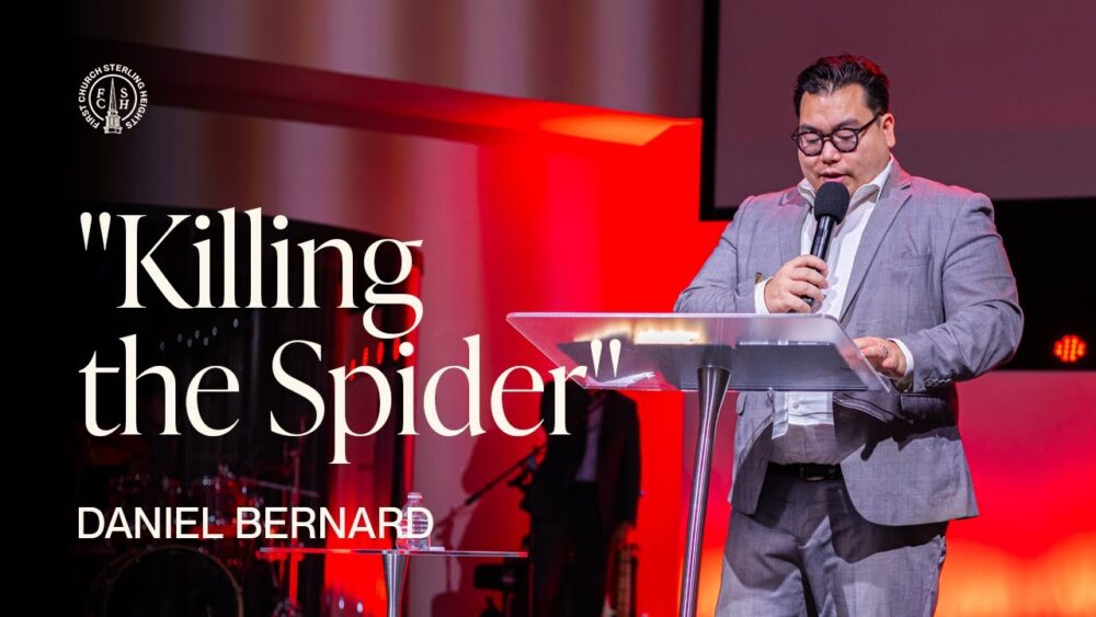 Killing The Spider Image