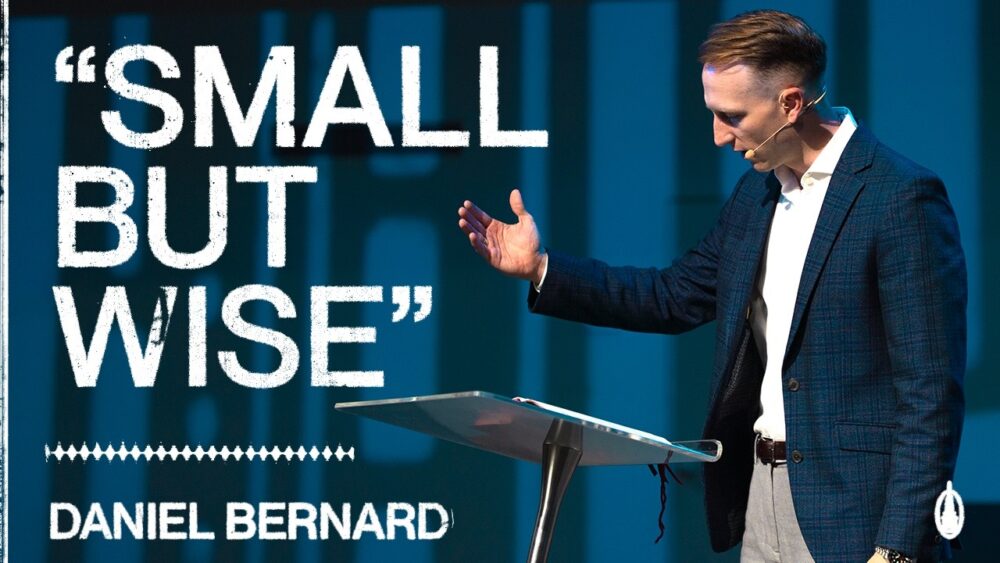 Small But Wise Image
